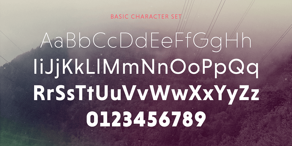 Displaying the beauty and characteristics of the Niveau Grotesk font family.