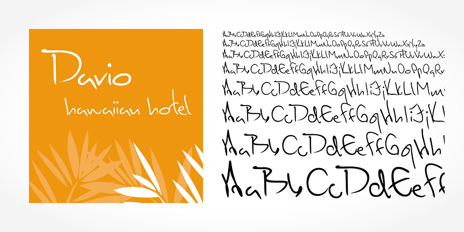 Dario Handwriting is a beautiful typeface that mimics true handwriting closely.