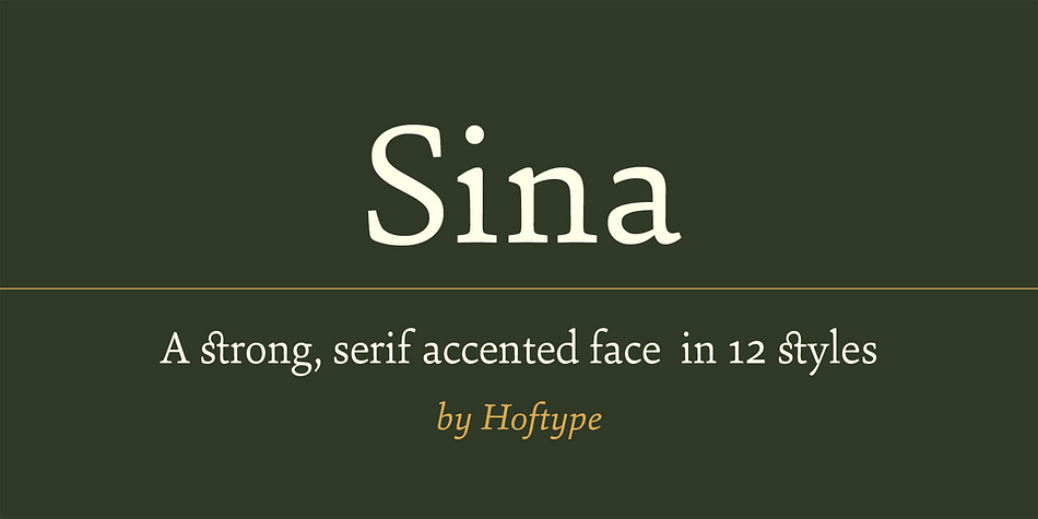 Sina is a strong, sturdy and self-confident serif accented face.