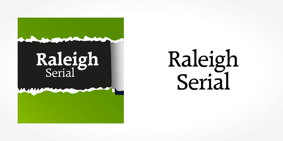 Displaying the beauty and characteristics of the Raleigh Serial font family.
