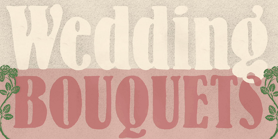 Displaying the beauty and characteristics of the Botanique font family.
