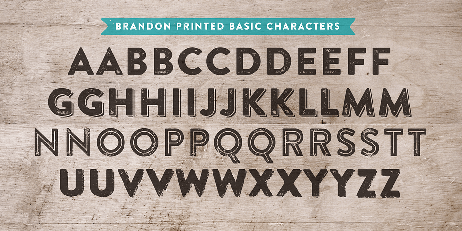 Highlighting the Brandon Printed font family.