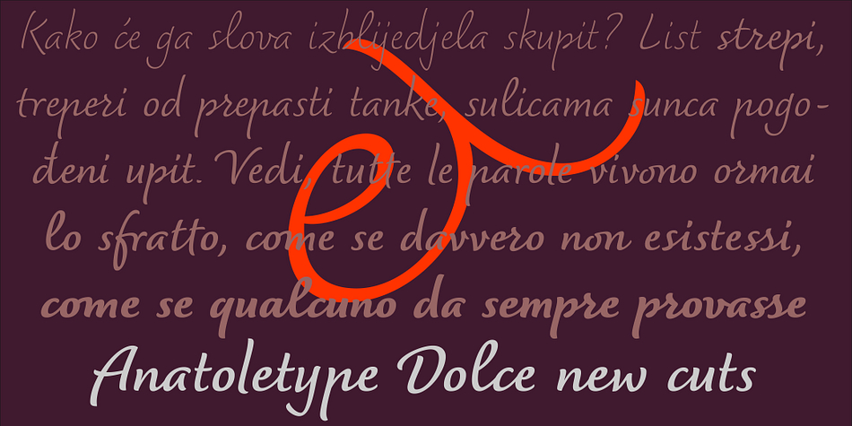 It is an attempt to arrive at a more naturally flowing type of handwriting, striking a balance between the orderly and the informal, while taking a critical look at the possibilities and limits of OpenType.