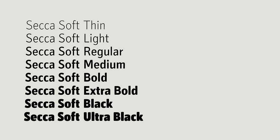 For setting tables and charts Secca offers fixed width tabular figures, fractions, monetary signs and mathematic operators throughout the entire range of weights.