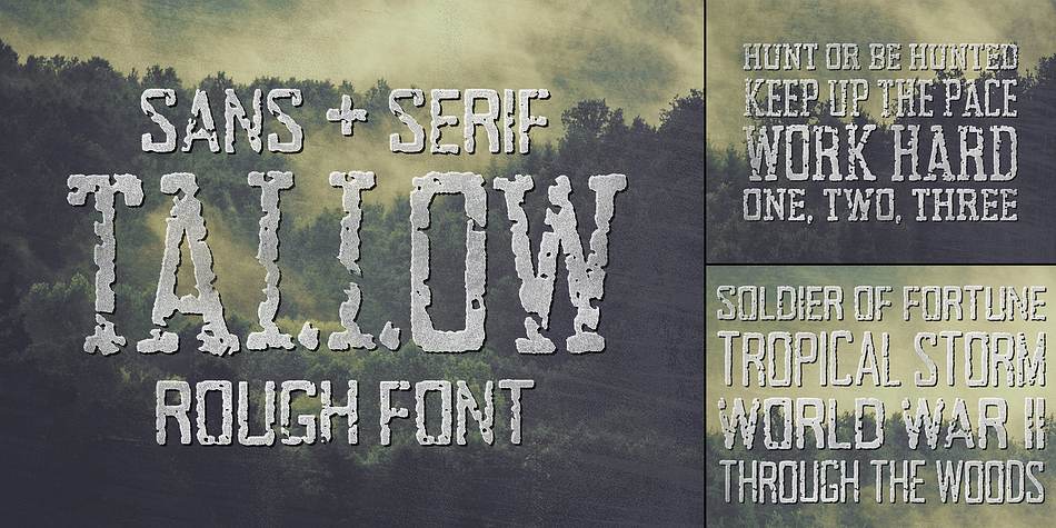 The design of each and every font in this collection was based off the original design of Tallow.