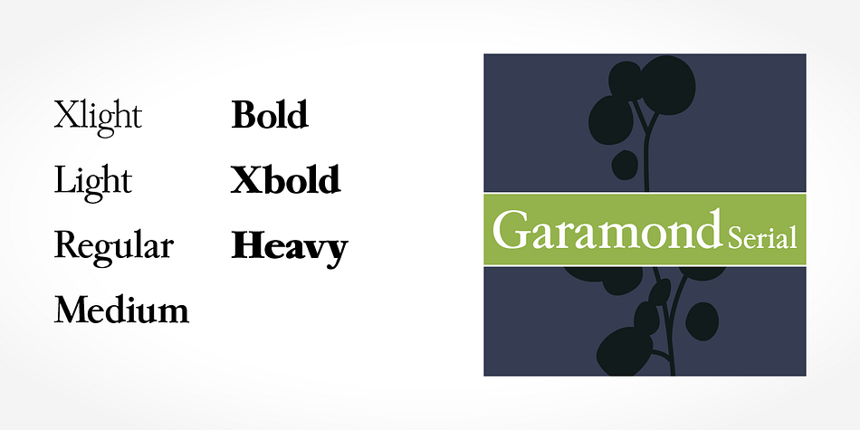 Highlighting the Garamond Serial font family.