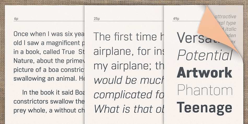 The Core Sans R Family consists of 7 weights (Thin, Light, Regular, Medium, Bold, Heavy, Black) and Italics for each format.