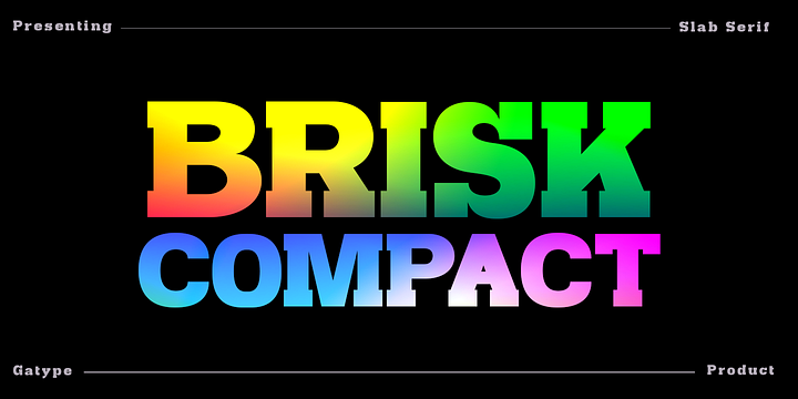 Brisk Compact font family by Gatype
