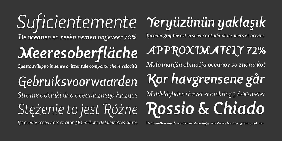 This typeface family contains stylish alternates characters which are more calligraphic than the main version.