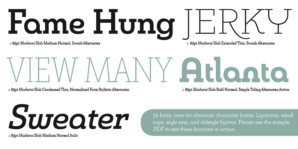 This child of Madurai contains a comprehensive range of nine weights--slender to black--and features condensed and extender selections for a complete set of fifty-four fonts.