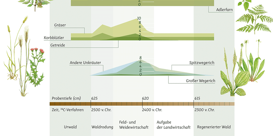 Mir’s character set is multiscript – Latin, Cyrillic and Greek – and extends to many parts of the linguistic world.