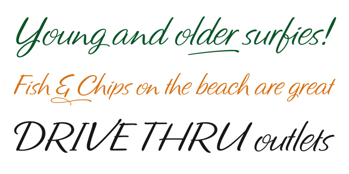 Emphasizing the popular Shire Script font family.