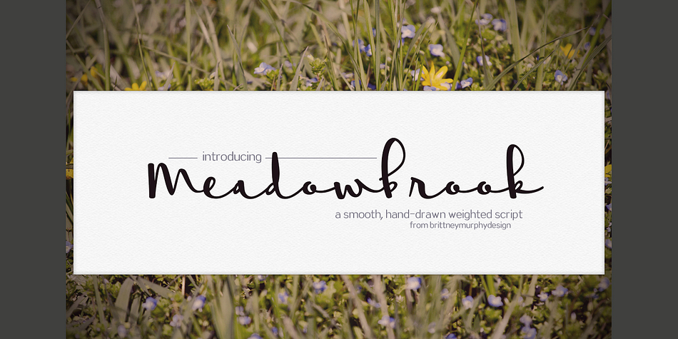 Displaying the beauty and characteristics of the Meadowbrook font family.