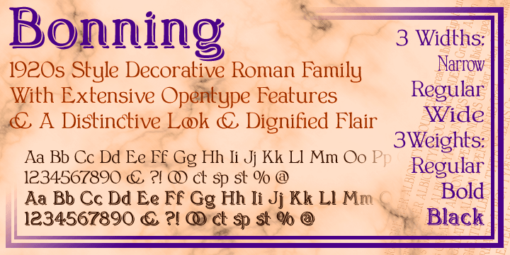 Displaying the beauty and characteristics of the Bonning  font family.