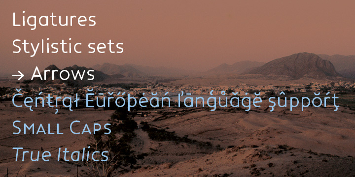 CoreHumanistSans comes standard with small caps, ligatures, alternative glyphs for a, e, g and E, arrows, old style numbers for text, lining numbers for tables and support for all Central European languages.