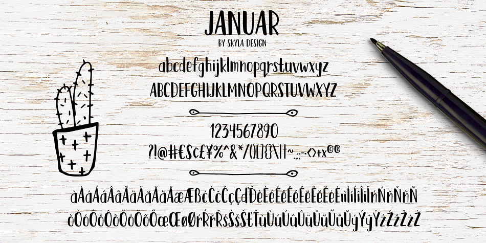 Displaying the beauty and characteristics of the Januar font family.
