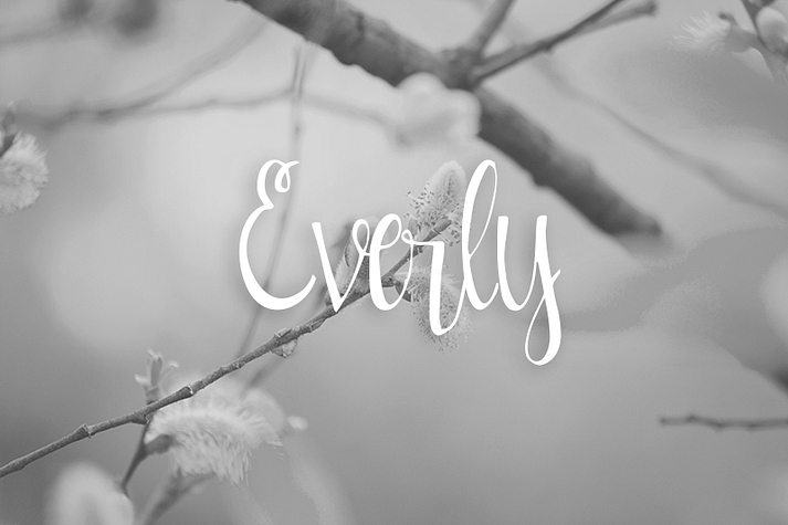 Displaying the beauty and characteristics of the Everly font family.