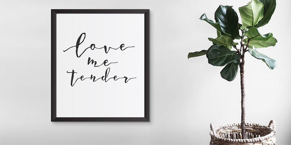 This font is perfect for all your wedding invites, posters, greeting cards and all your other branding materials.