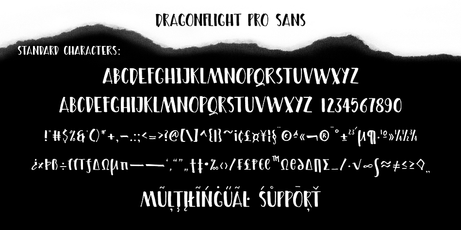 Dragonflight Pro Sans is an all caps font with 402 glyphs, also hand-drawn with the folded pen, that compliments the other styles perfectly.