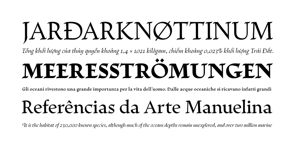 With taller vertical proportions, the text version has slightly longer serifs and increased white space between the characters to optimize legibility in small sizes.