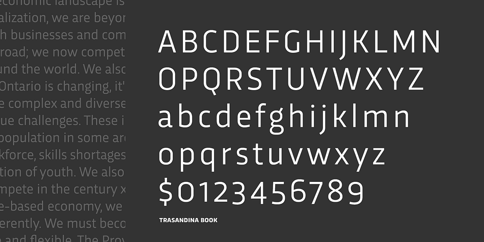 Trasandina is an eighteen font, sans serif and display sans family by TipoType.