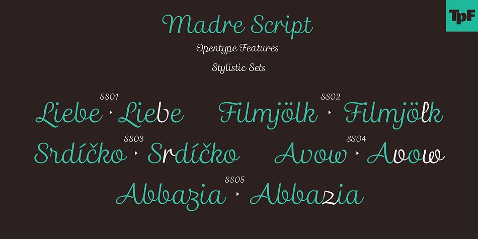 Emphasizing the favorited Madre Script font family.