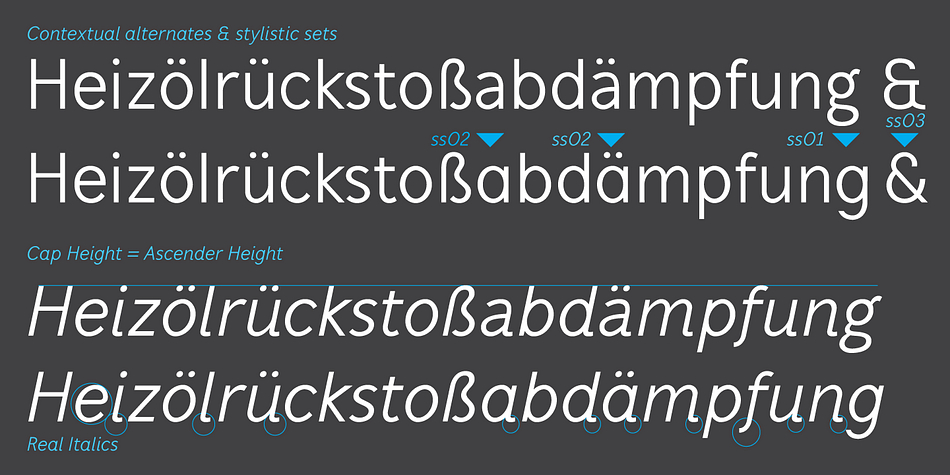 Mucho Sans is equipped with many Opentype features such as five numeral styles, numerators, denominators, superiors, inferiors, automatic fractions, alternative a and g, case sensitive forms and ordinals.