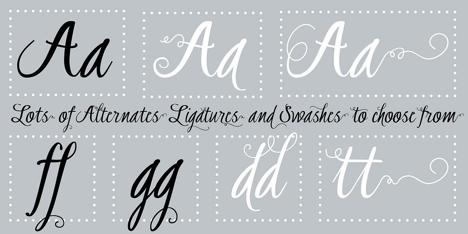 Highlighting the Graduate font family.