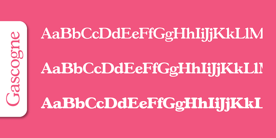 Emphasizing the popular Gascogne Serial font family.