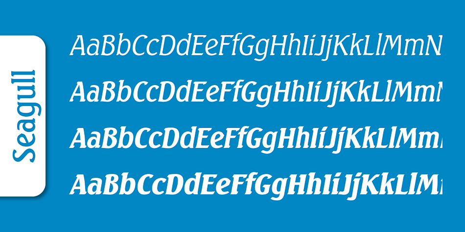 Emphasizing the popular Seagull Serial font family.