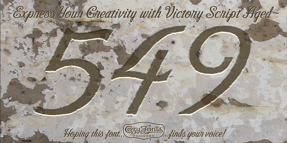 Victory Script font family sample image.