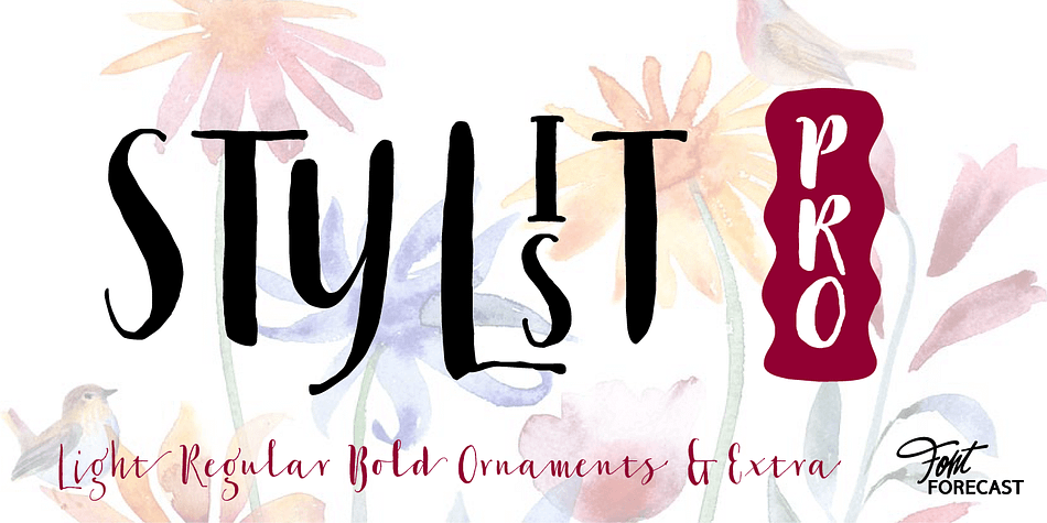 At first glance Stylist Pro may look like just another dip pen calligraphy font family.