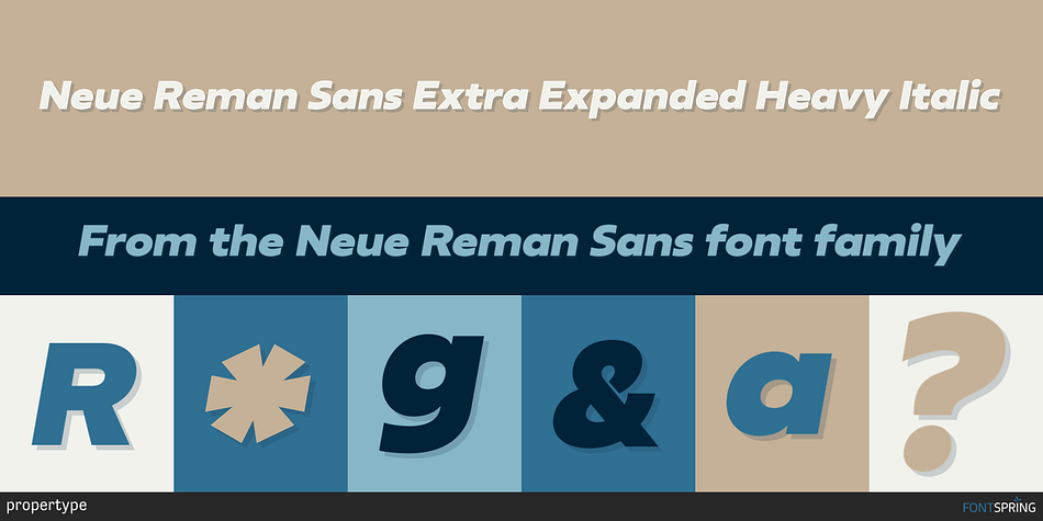 Neue Reman Sans Extra Expanded Heavy Italic Font