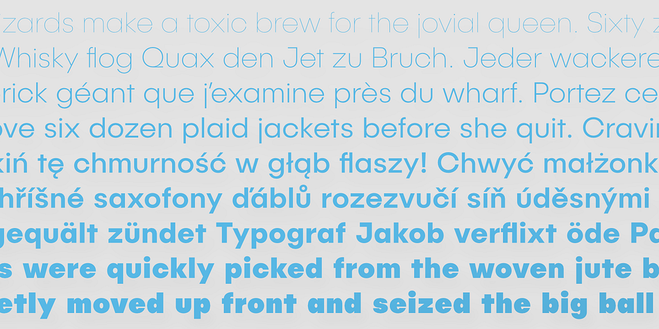 Displaying the beauty and characteristics of the Publica Sans font family.