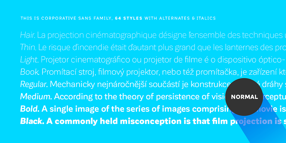 Corporative Sans comes with the Latinotype’s standard set of 350 characters, making it possible to use the font in 128 different languages.
