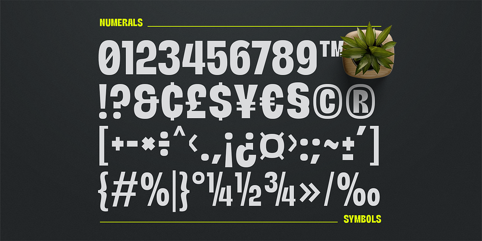 Neutralis Grotesk Font