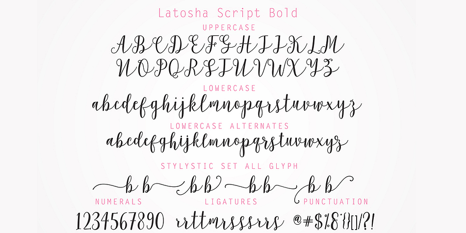 Highlighting the Latosha Script font family.