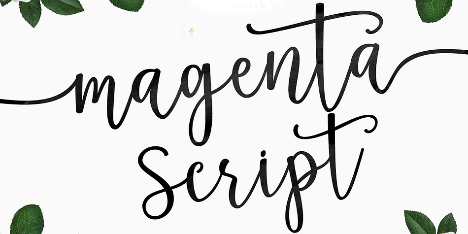 Introducing a new script font: Magenta Script.