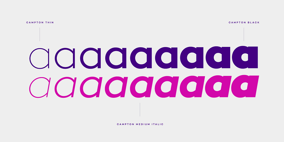 This typeface has twenty styles  and was published by Rene Bieder.