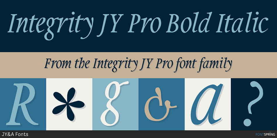 Integrity JY Pro Bold Italic Font