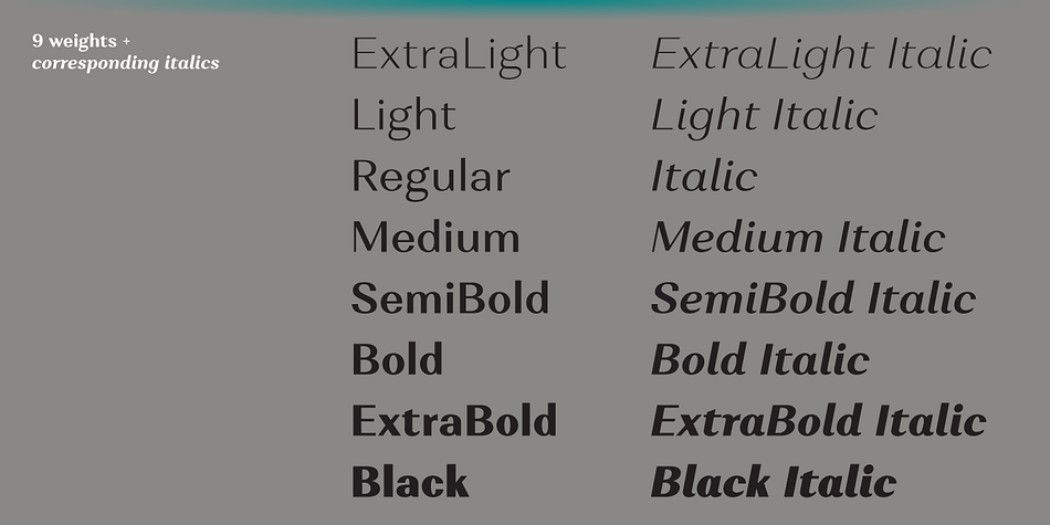 It comes in 8 weights + matching italics each supporting numerous Latin-based languages as well as major Cyrillic languages.