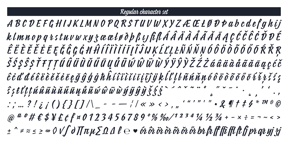 Suzee FY font family sample image.