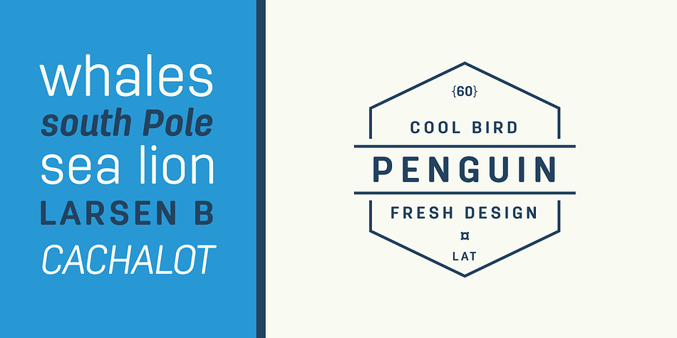 Emphasizing the favorited Antartida Rounded Essential font family.