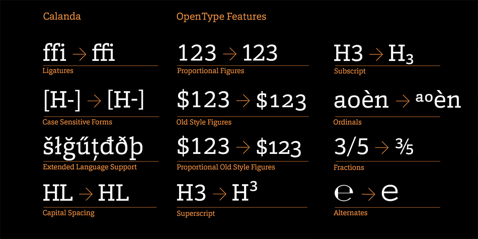 Emphasizing the favorited Calanda font family.