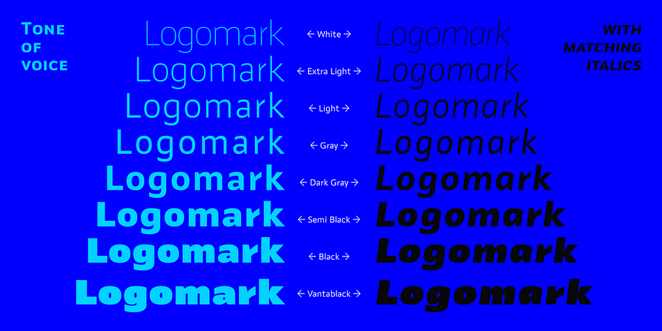 Highlighting the Identa font family.