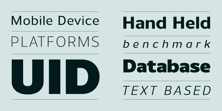 Developed to meet the needs of the professional user, details include 9 weights with italics, 540 characters, 5 variations of numerals, small caps, stylistic alternatives, manually edited kerning and Opentype features.
