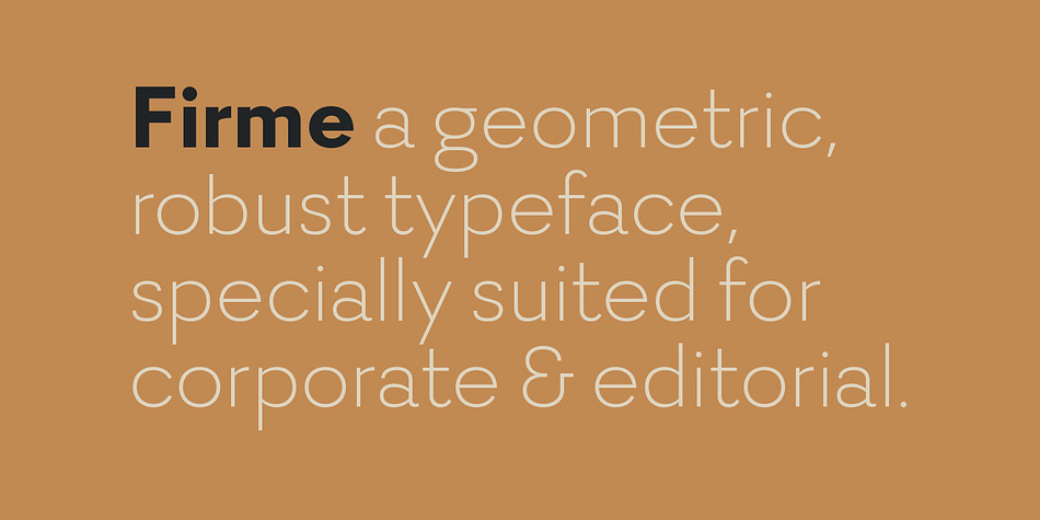 Displaying the beauty and characteristics of the Firme font family.