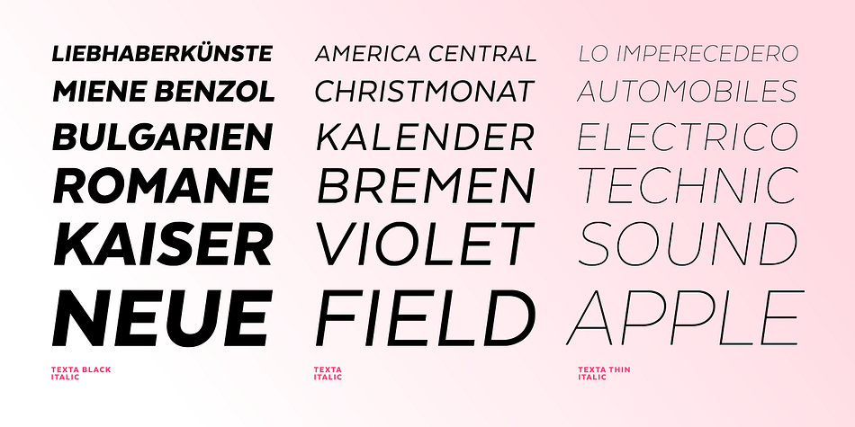 Emphasizing the popular Texta font family.