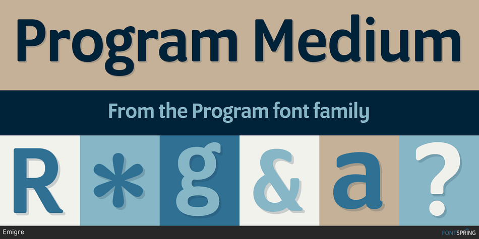 Program Medium Font