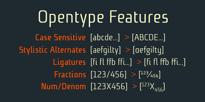 Displaying the beauty and characteristics of the Niks font family.